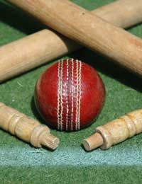 Kwik Cricket Equipment Bats Balls Stumps