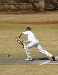 Cricket Disability Player Official