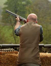 Guns Shooting Clay Pigeon Shooting Field
