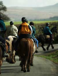 Sport Leisure Riding Horse Riding Riding