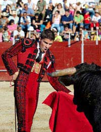 Bull Fighting Bareback Riding Steer